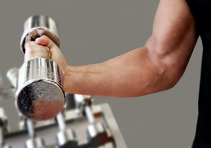 Biceps training with arm holding a dumbbell