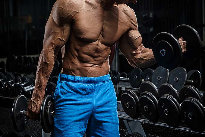 A fitness model wearing some blue shirts and weights for bicepses