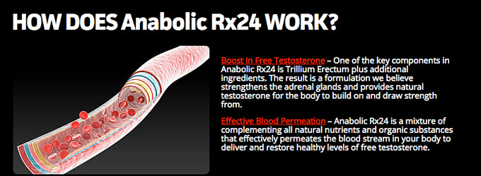 The Way Anabolic Rx24 Is Working