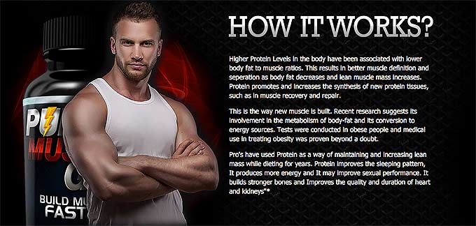 How does Pure Muscle Gain really works?