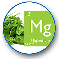 Circle Icon of Magnesium