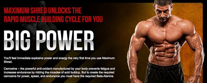 Increase Power with Maximum Shred