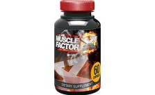 Muscle Factor X