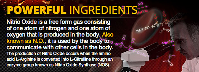 The Ingredients of Nitric Max Muscle
