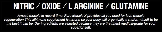 The ingredients of Pure Muscle X