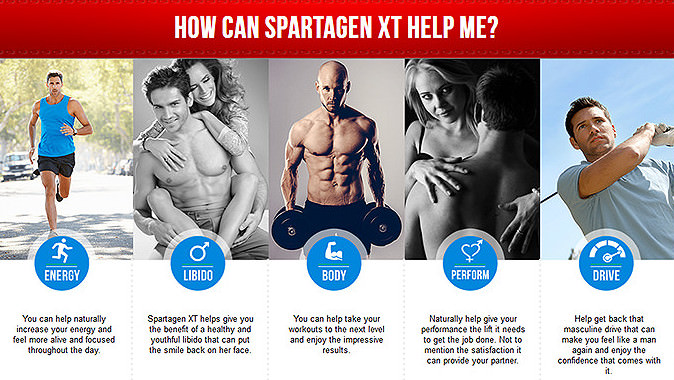 The Effects of Spartagen XT