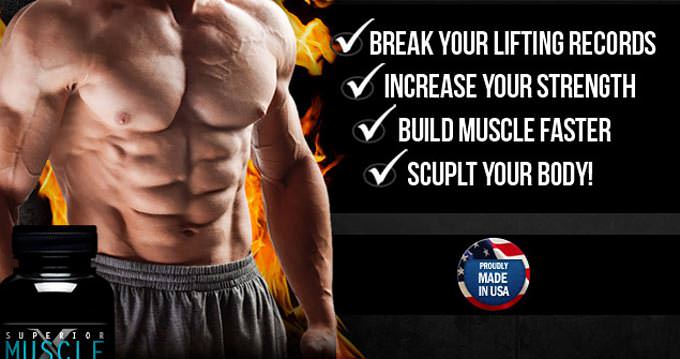 The Main Features of Superior Muscle X