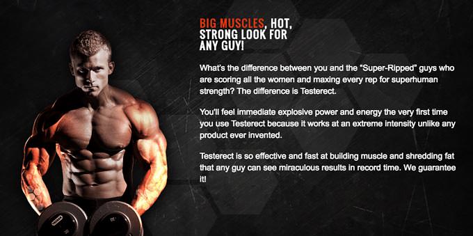 The Big Muscles & Testerect