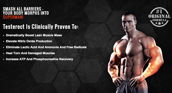 Achieve a Great Body While Using Testerect