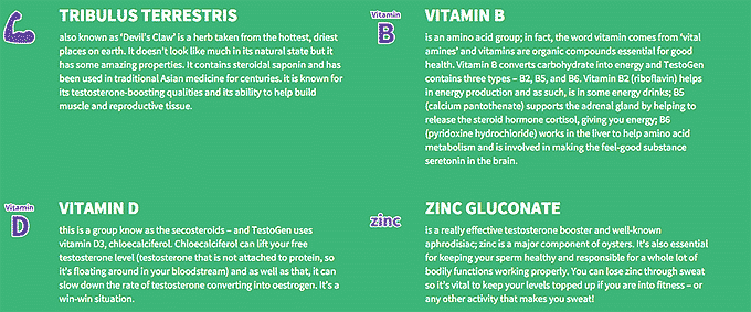 Some details on the Testogen's ingredients - 2