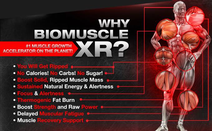 Why You Should Choose BioMuscle XR?